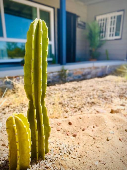 The Desert Monroe-Hot Tub-Firepit-Games-By Joshua Tree National Park 二十九棕榈村 外观 照片